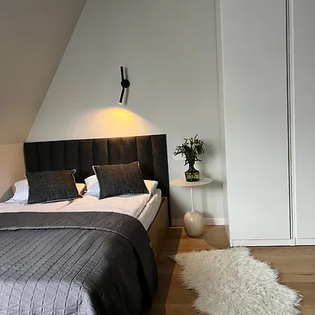 Ela - Elegant * ソポト